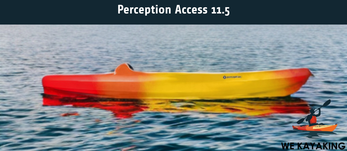 Perception Access 11.5