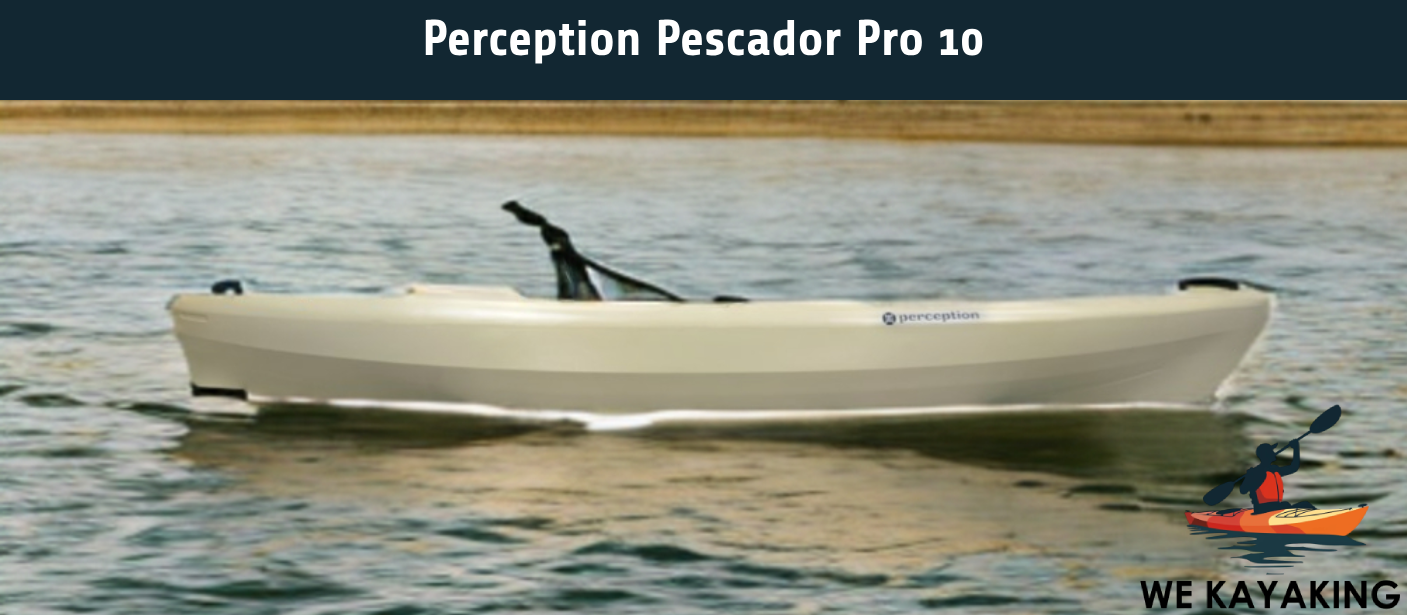 Perception Pescador Pro 10