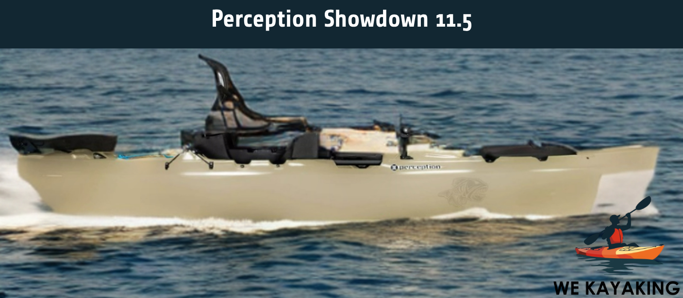 Perception Showdown 11.5